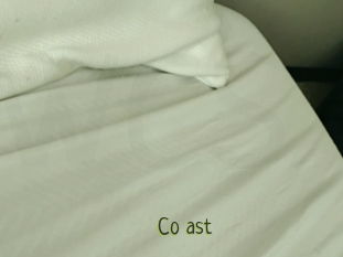 Co_ast