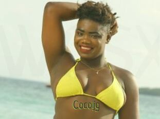 Cocoljg