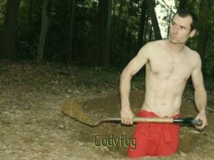 Codyfog