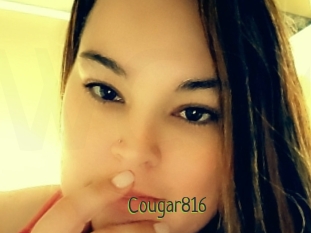 Cougar816