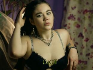 Cuccili