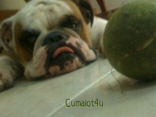 Cumalot4u