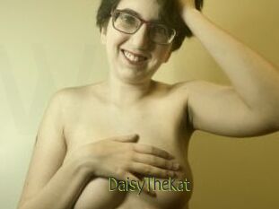 DaisyTheKat