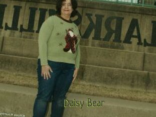 Daisy_Bear