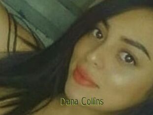 Dana_Collins