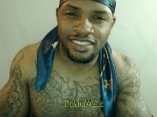 David_Maze