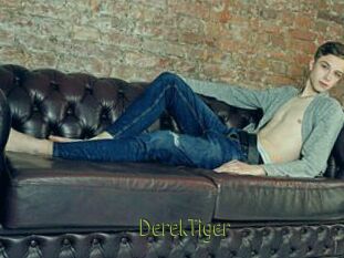 DerekTiger