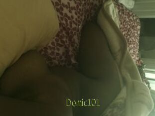 Domic101