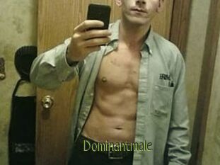 Dominantmale
