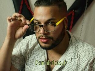 Daminbricksub