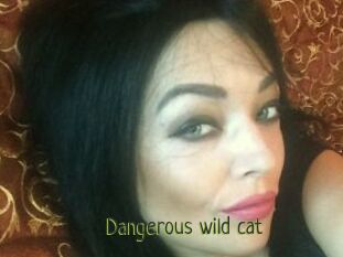 Dangerous_wild_cat