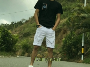 Dannyfermin