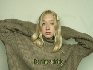 Darlinealdridge