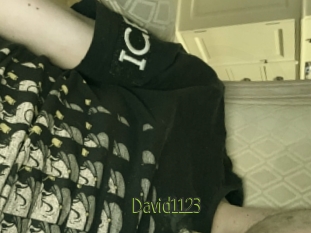 David1123