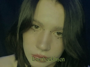 Dawnhawkinson