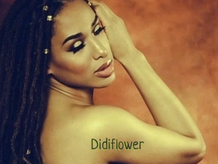 Didiflower