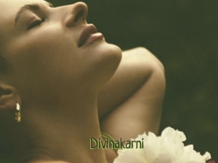 Divinakarni