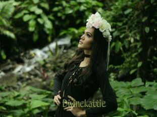 Divinekattie