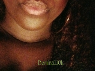 Domina110k