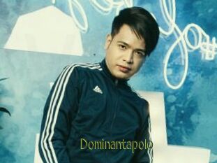Dominantapolo