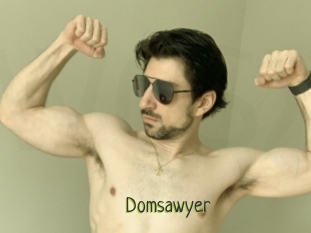 Domsawyer