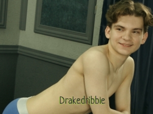 Drakedribble