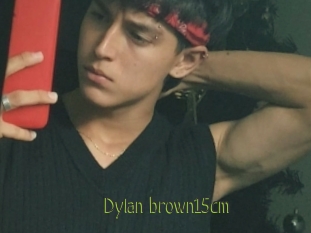 Dylan_brown15cm
