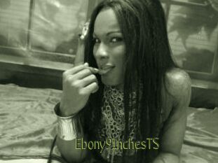 Ebony9InchesTS