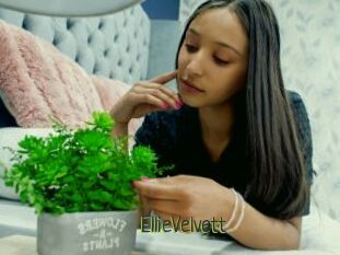 EllieVelvett