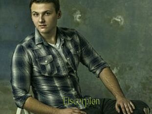 Elscorpion