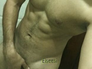 Elseesi