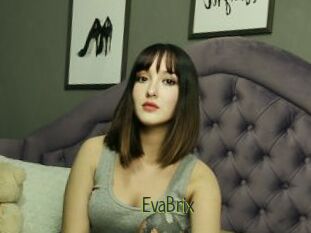 EvaBrix