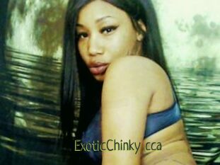 ExoticChinky_cca