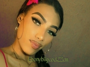 Ebonybiigcock22cm