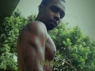 Eddyllargo