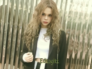 Editagitt