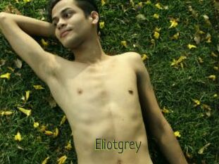 Eliotgrey