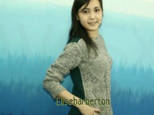 Elisebarberton