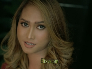 Elisecam