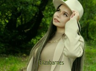 Elizabarnes
