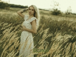 Elizamool