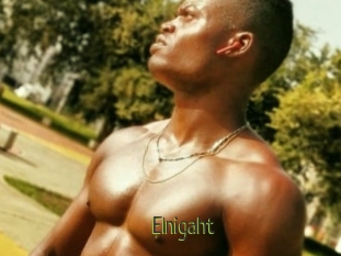 Elnigaht