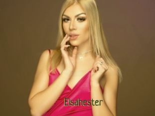 Elsahester