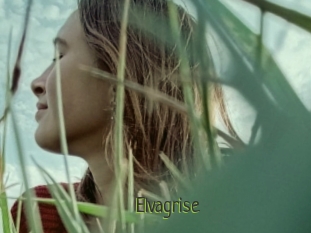 Elvagrise