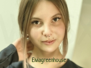 Elviagreenhouse