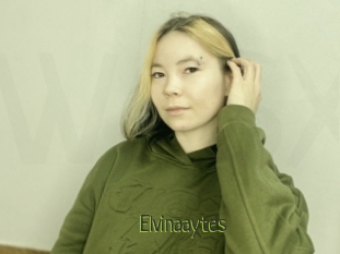 Elvinaaytes