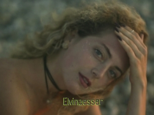 Elvinaesser