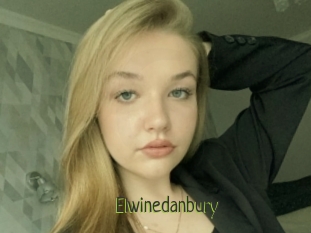 Elwinedanbury