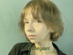 Elwinegallant