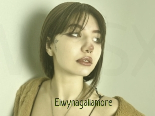 Elwynagallamore